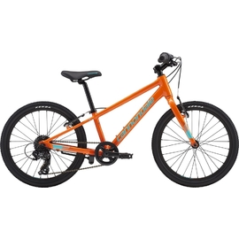 Cannondale Quick 20 inch 7 Speed Mountain Kids Bike