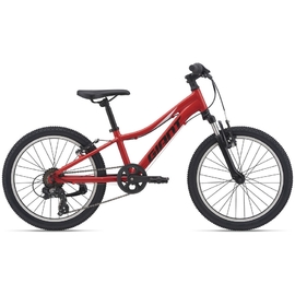 Giant XTC JR 20寸鋁合金兒童山地單車