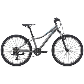 Giant XTC JR 20 inch Lite Mountain Kids Bike | Jollymap