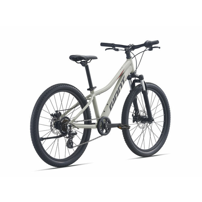 Giant XTC JR 24寸鋁合金兒童山地單車 