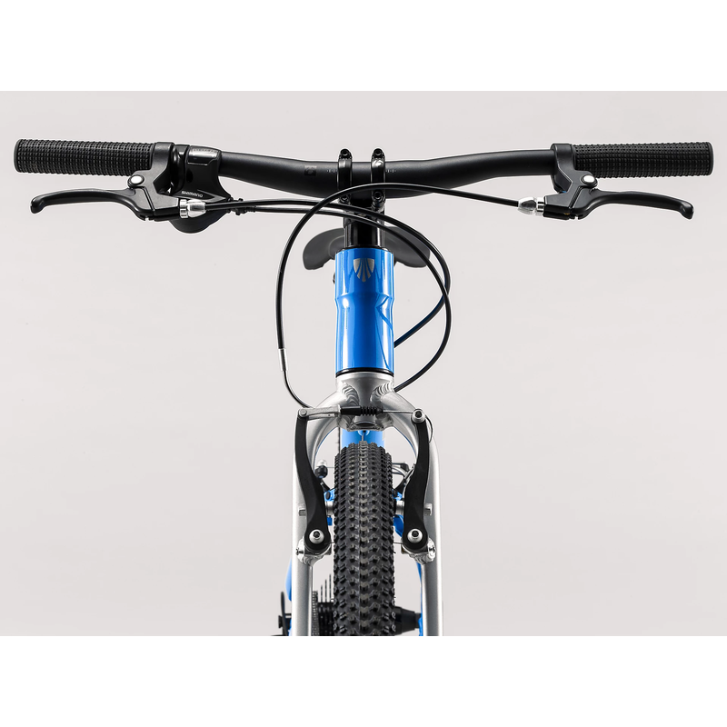 Trek Wahoo 8 Speed 24 inch Kids Bike 