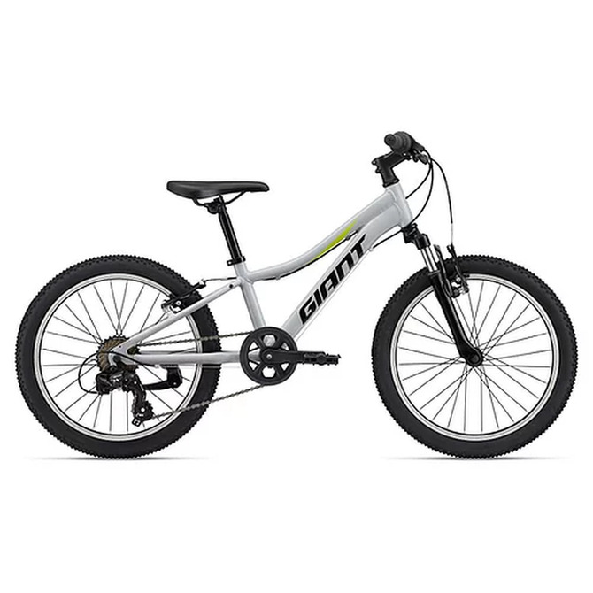 Giant XTC JR 20寸鋁合金兒童山地單車