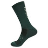 Baisky Sport Socks - Plain Green