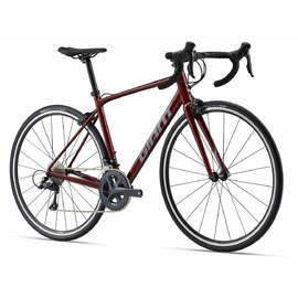 2024 Giant CONTEND 1 公路車