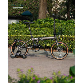 web_large_Dahon-