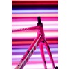 Giant 2026 TCR Advanced Pro Carnival Special Edition Frameset Carnival