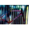 Giant 2026 TCR Advanced Pro Carnival Special Edition Frameset Carnival