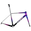 Giant 2026 TCR Advanced SL Frameset Team Purple Purple Storm