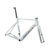 Giant 2026 Propel Advanced Pro Frameset Ray White