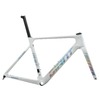 Giant 2026 Propel Advanced Pro Frameset Ray White